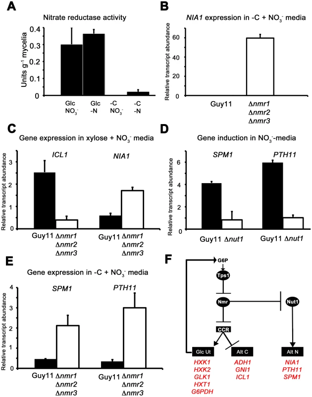 The Nmr1-3 inhibitor proteins regulate nitrogen and carbon metabolism in response to G6P.