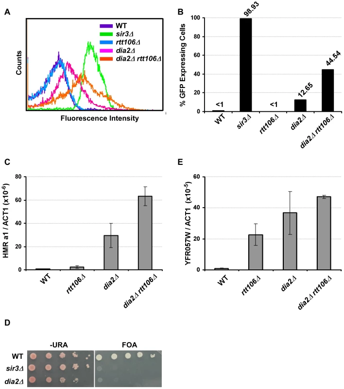 Dia2 functions in parallel with Rtt106 in <i>HMR</i> silencing.