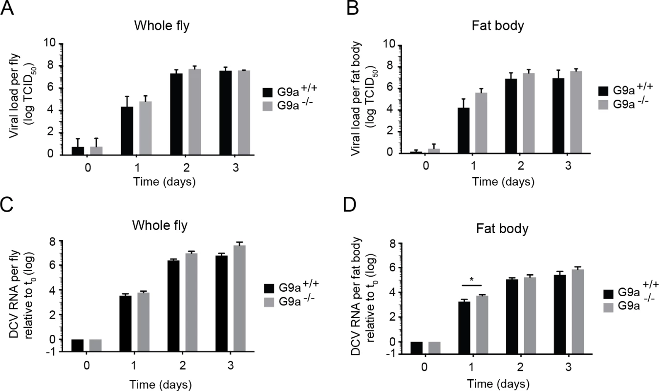 Loss of <i>G9a</i> does not affect viral loads upon DCV infection.