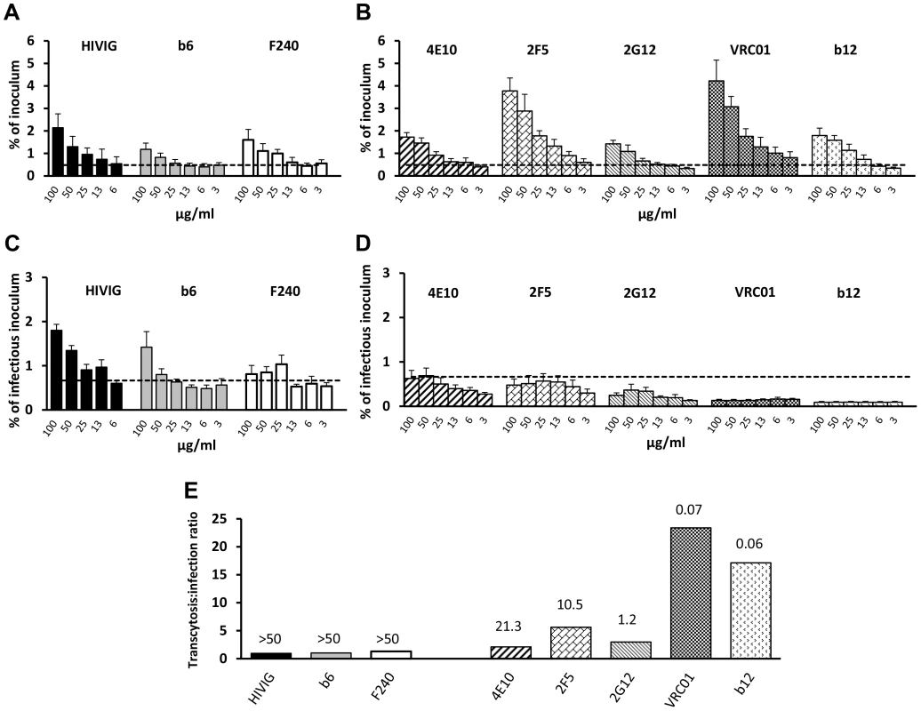 Effect of antibodies on transcytosis and infectivity.
