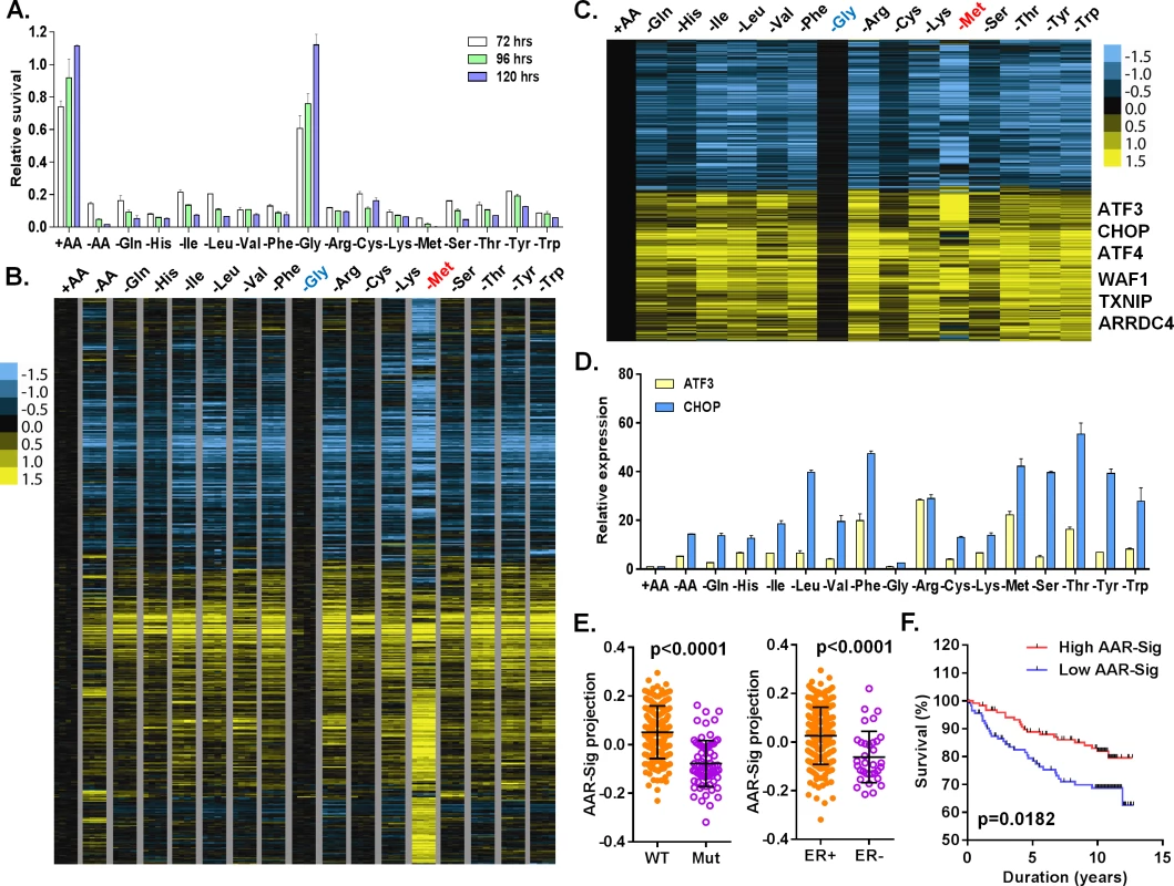 Cellular and transcriptional response to the deprivation of individual amino acids.