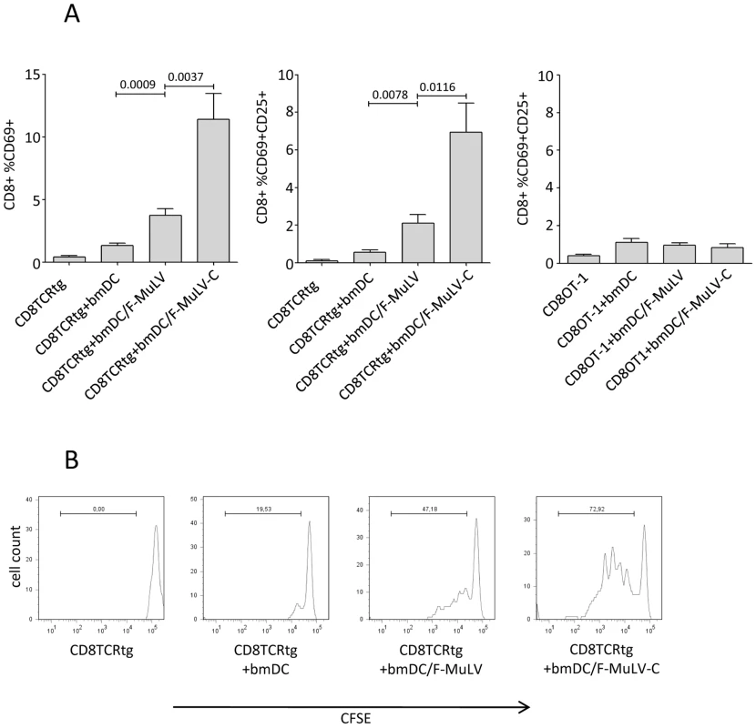 Complement enhances F-MuLV infection of bmDCs and induces activation and proliferation of FV-specific CD8<sup>+</sup> T cells by virus-loaded DCs.