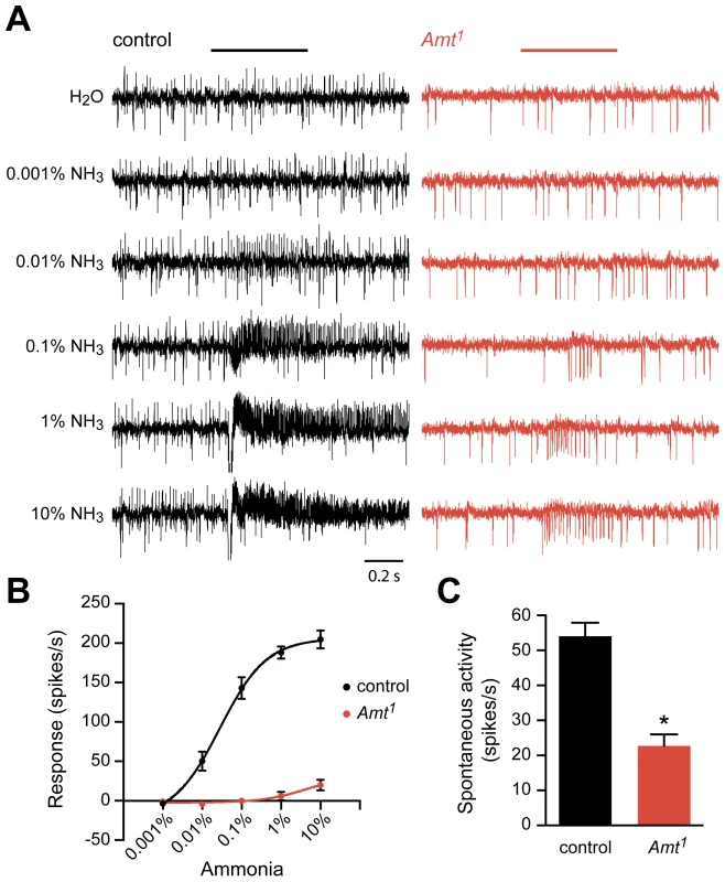 Reduced response of ac1 sensilla to ammonia in <i>Amt.</i>