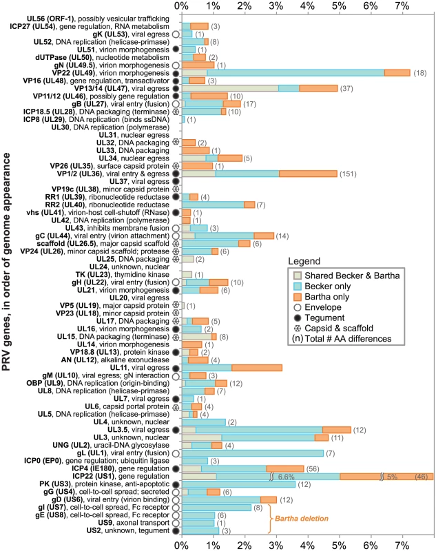 Protein coding variation in PRV Bartha and Becker, vs. the reference strain Kaplan.