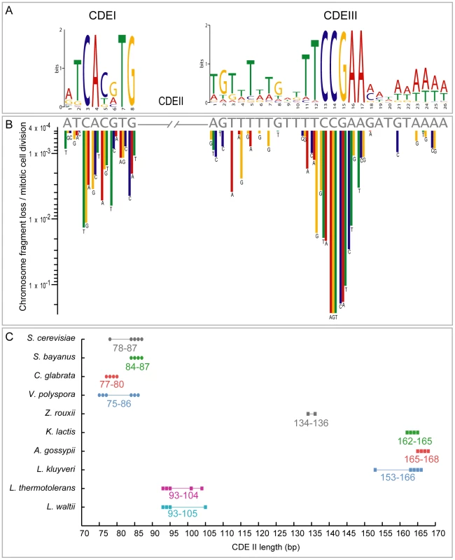 CDE conservation in the Saccharomycetaceae.