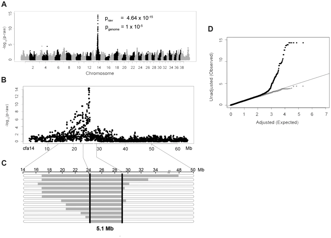 Genome-wide association study results of NSDTRs with CP.