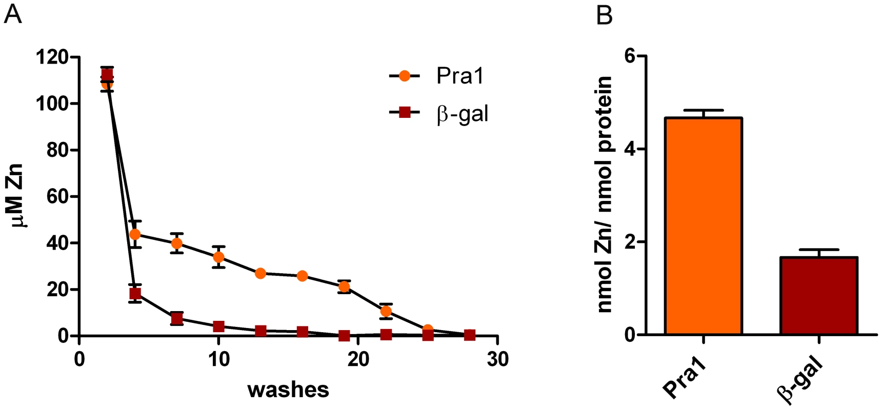 Pra1 is a zinc binding protein.