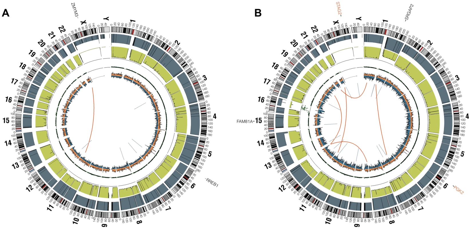 Circos plots of representative Ewing sarcoma family tumors.