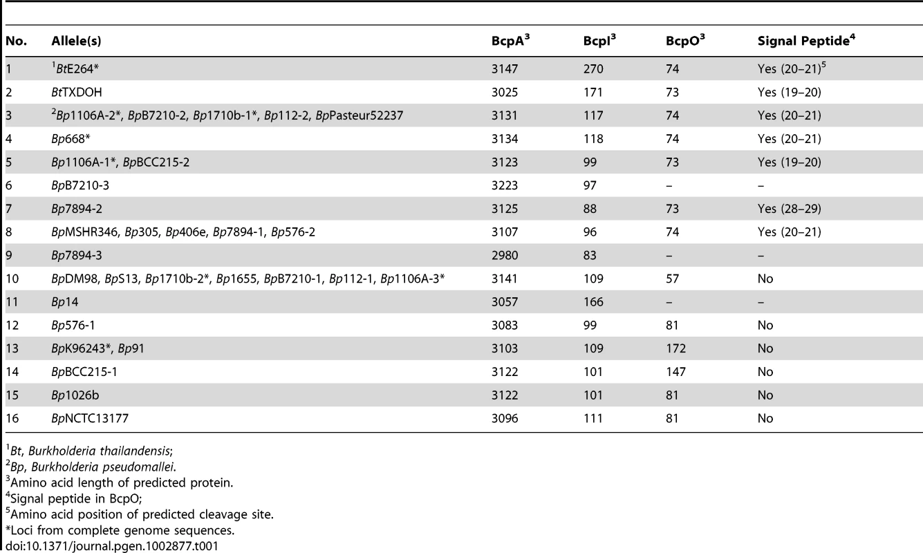 Predicted <i>B. thailandensis</i> and <i>B. pseudomallei</i> CDI-system encoding alleles.
