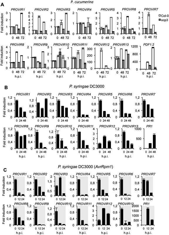 Expression patterns of <i>PROVIR</i> genes following pathogen inoculation.