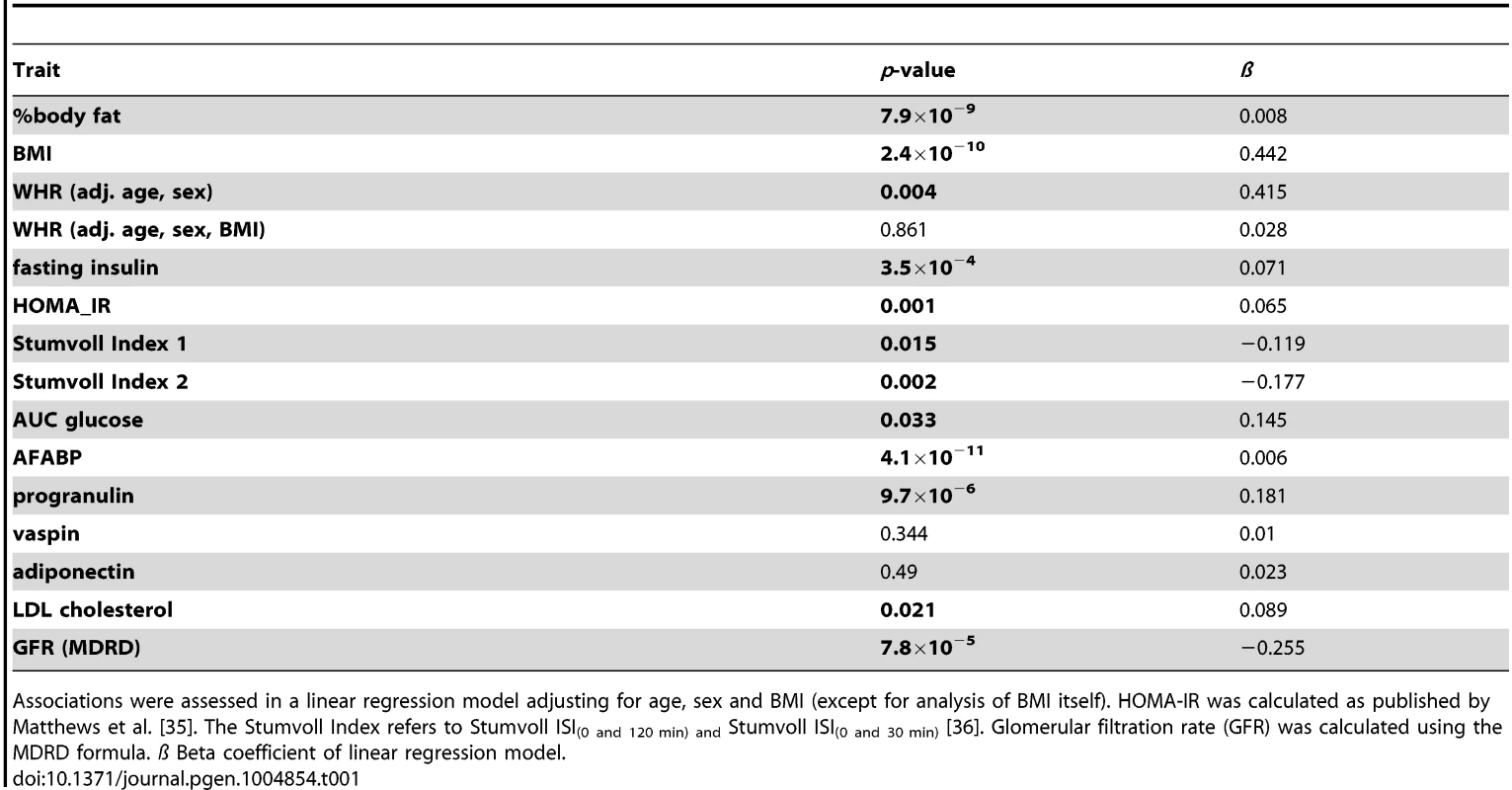 Correlation of serum chemerin concentrations with anthropometric parameters and markers of glucose metabolism, serum lipids and renal function in the Sorbs cohort.