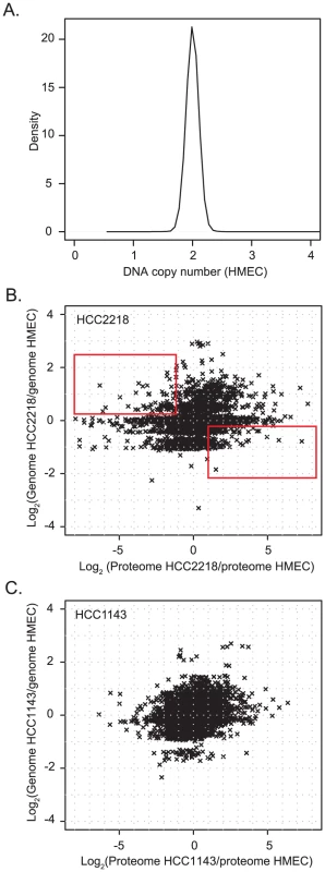 Comparison of gene copy number change to protein change.