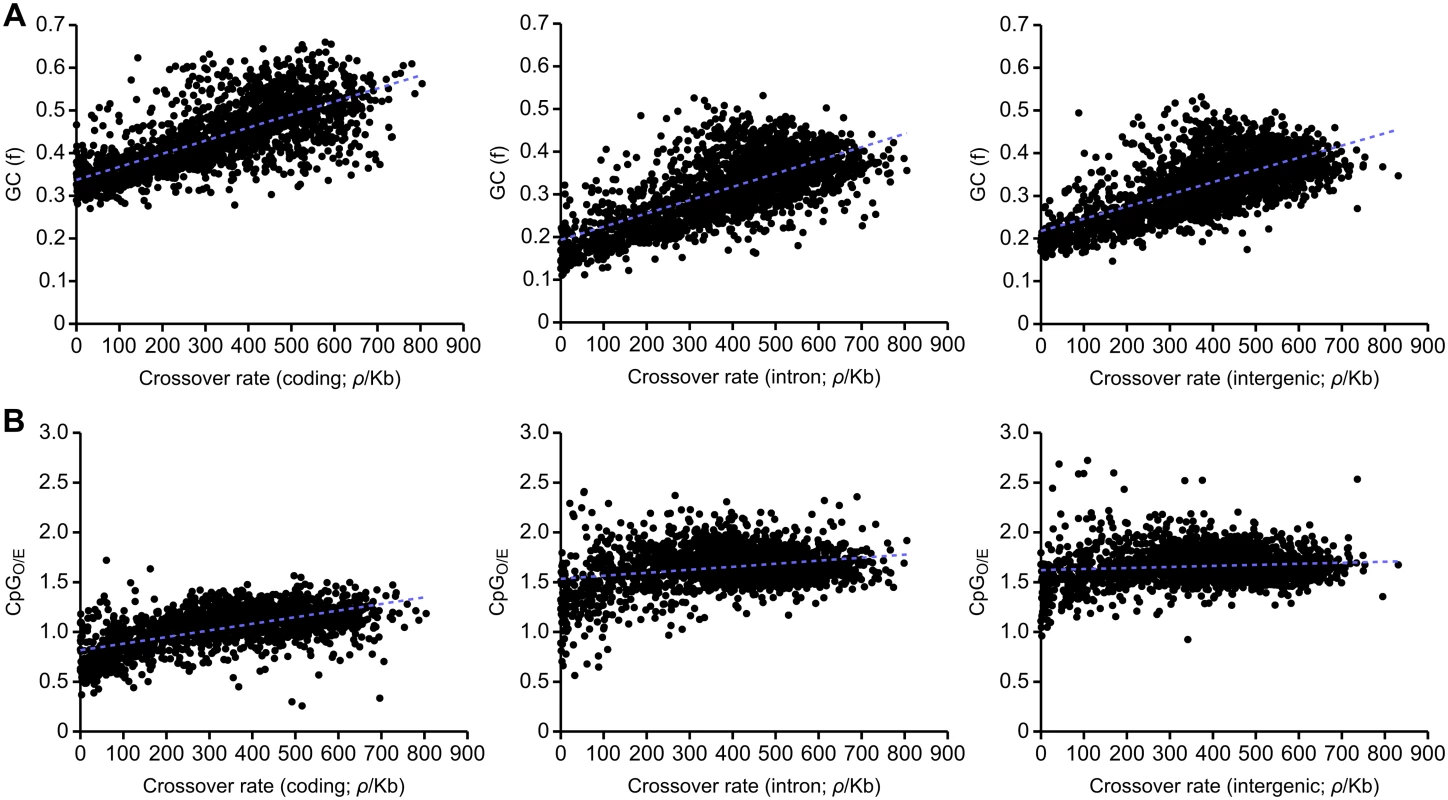 Correlations between recombination rate and GC and CpG content divided according to functional categories.