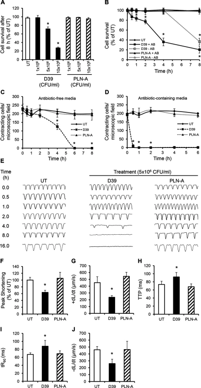 Wild type (D39) but not PLY-deficient (PLN-A) pneumococci cause cardiomyocyte dysfunction and death <i>in vitro</i>.