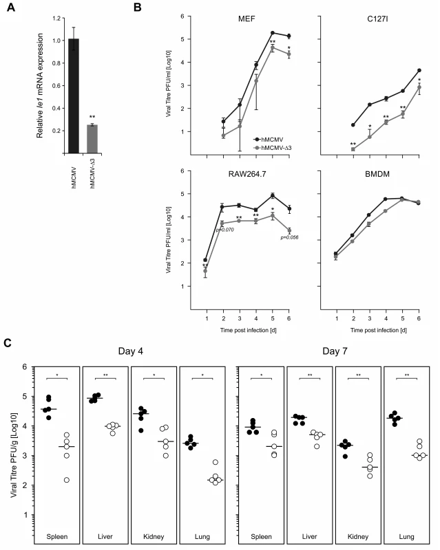 Loss of TLR-activated transcription factor binding motifs has impacts on viral replication and fitness.
