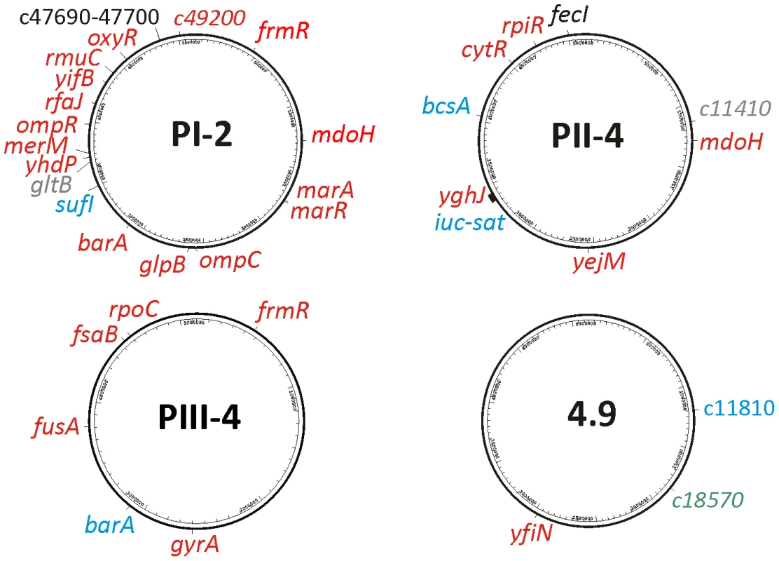 Localization of genomic alterations within the re-isolates' genomes relative to parent <i>E. coli</i> 83972 as revealed by whole genome sequencing.