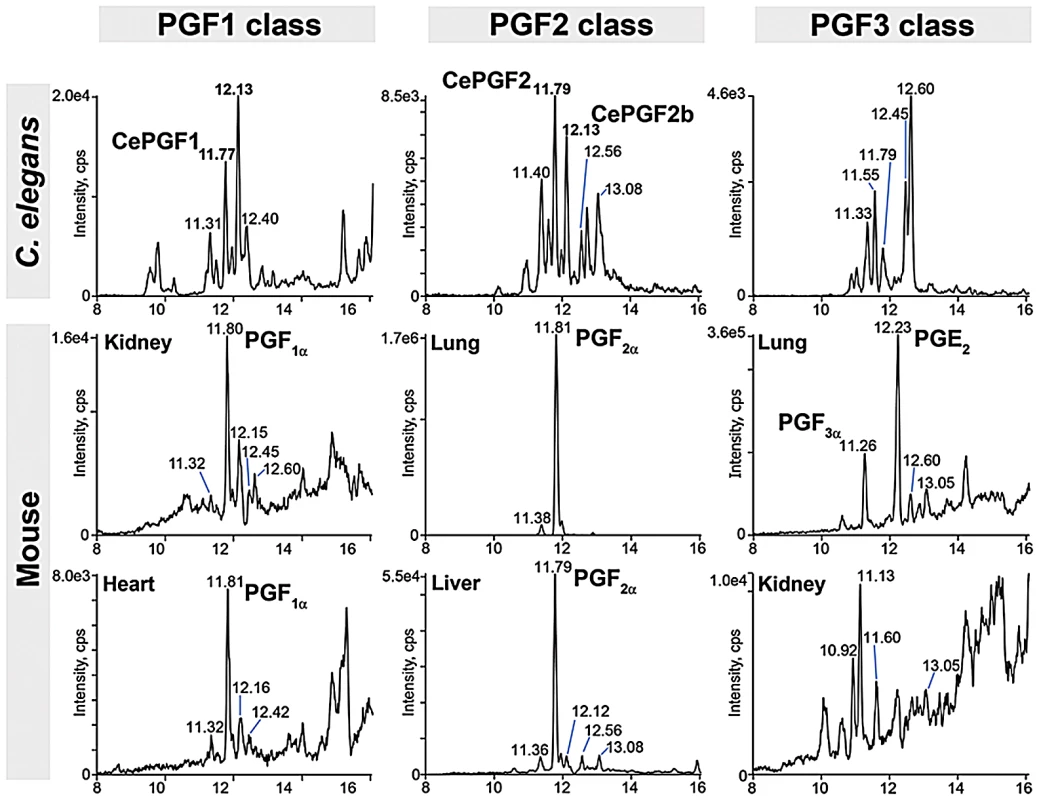 F-series prostaglandins in <i>C. elegans</i> and mouse tissues.