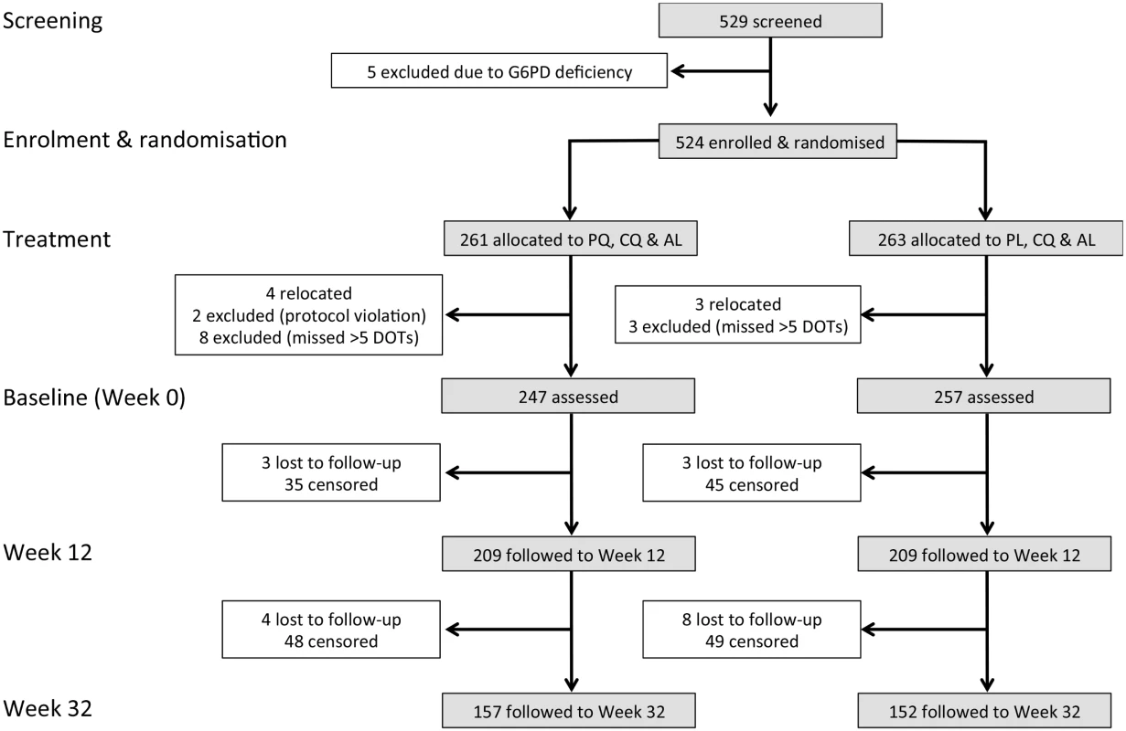 Consort diagram: study design, randomisation, and retention of study participants during follow-up.