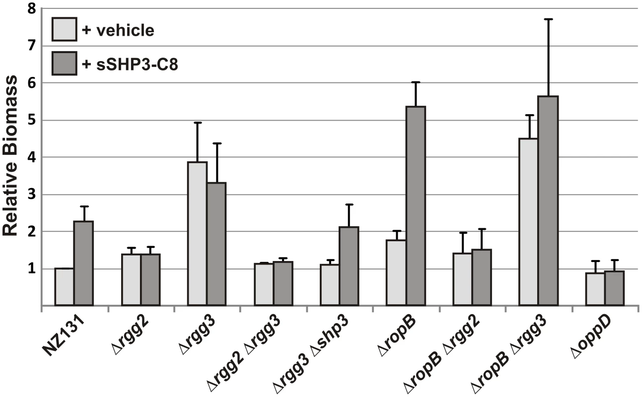 Influence of Rgg regulators on biofilm production.