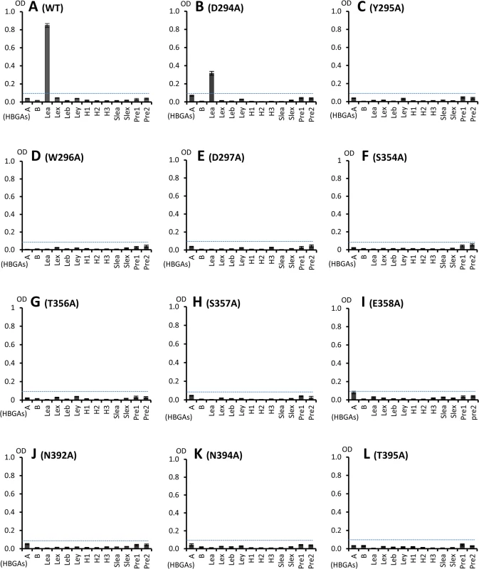 HBGA-binding of wild type and various mutant P particles with single amino acid mutations at the HBGA-binding interface of OIF virus.