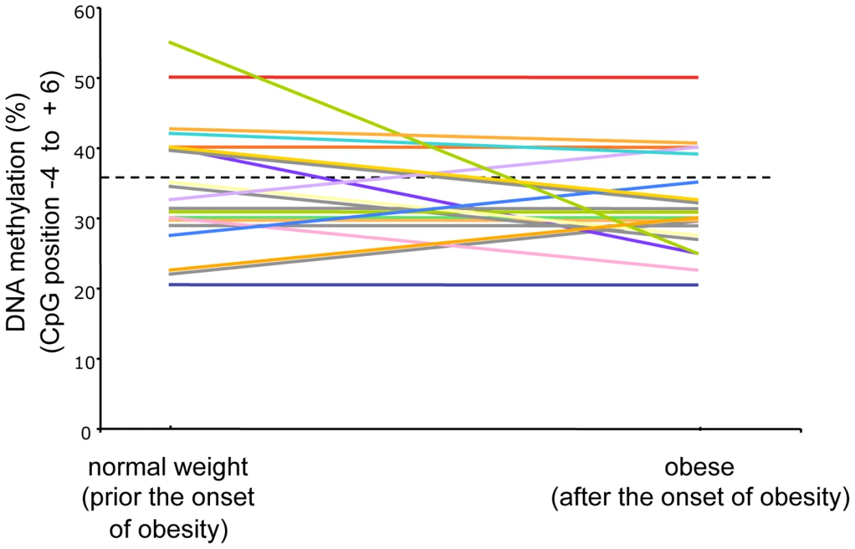 Longitudinal analysis of <i>POMC</i> DNA methylation score (%) (CpG position −4 to +6) before and after the development of obesity in altogether 21 participants of the MAS birth cohort.