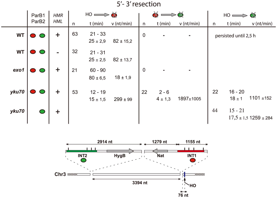 Resection timing and speed.