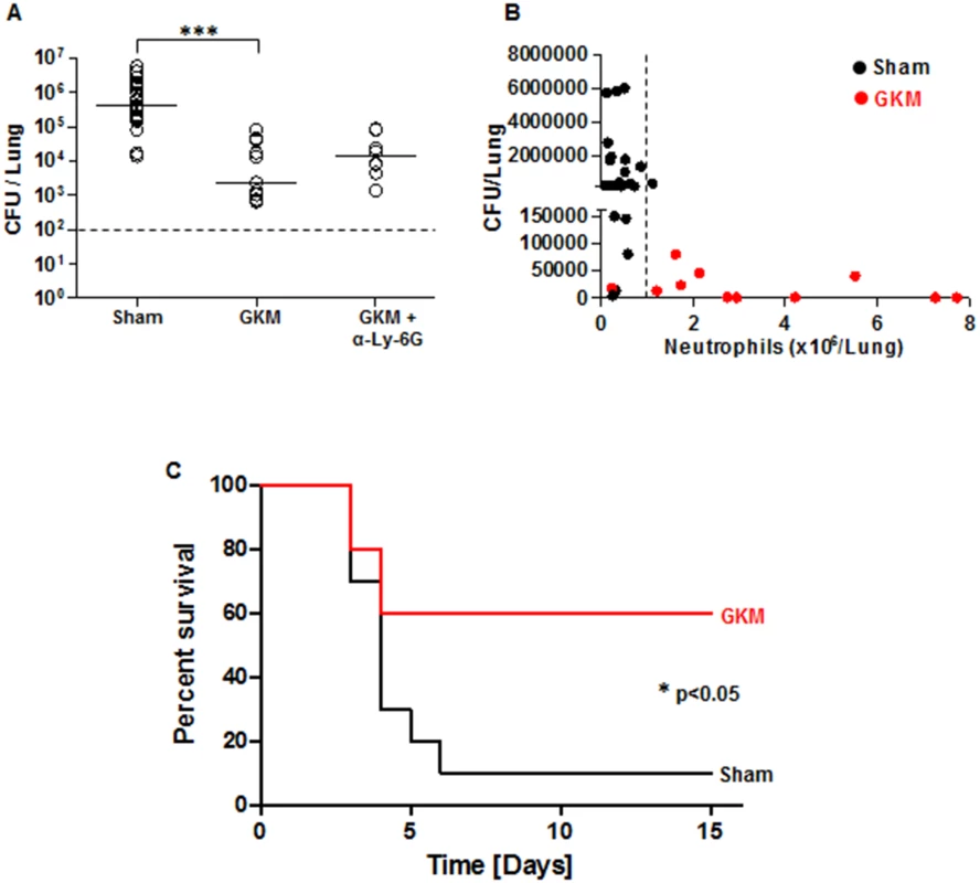 Early recruitment of neutrophils to the lungs is accompanied by reduced bacterial load and improved survival.