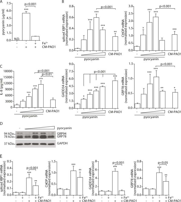 Pyocyanin is able to cause ER stress.