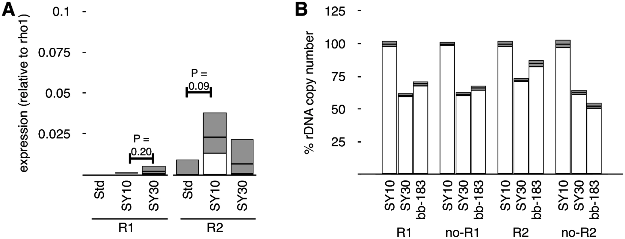Copy number and RNA expression of <i>R1</i> and <i>R2</i> retrotransposable elements are not discordant.