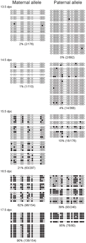 Methylation dynamics at the ICR in ICR CTCF site mutant prospermatogonia.