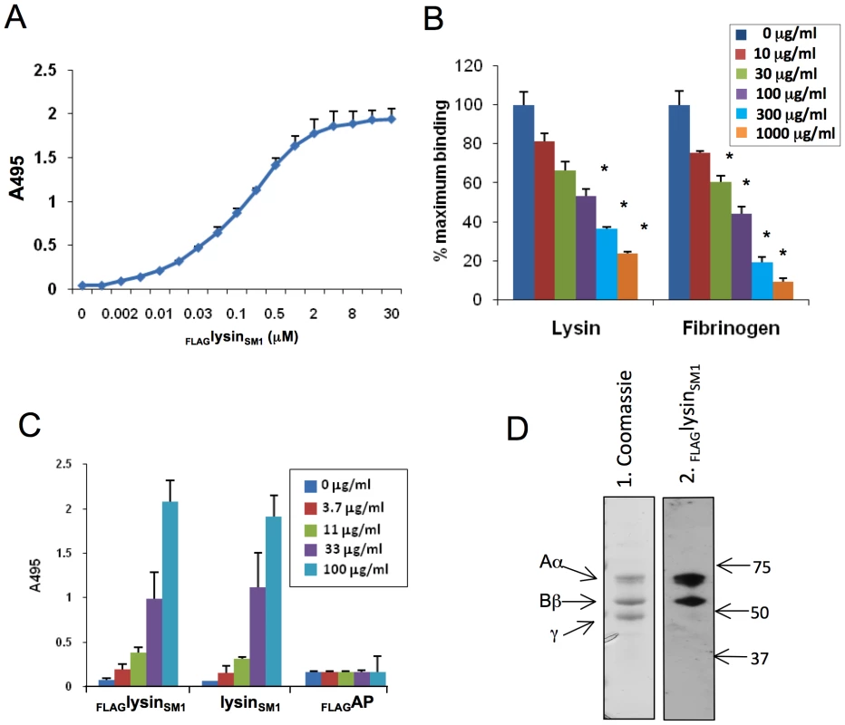 Lysin-fibrinogen binding.