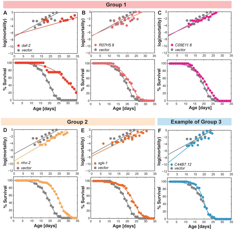 Gene inactivations that promote somatic longevity.