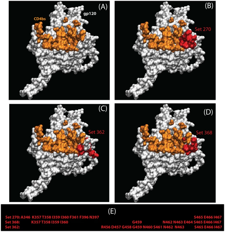 Three statistically significant structures-based regional clusters in gp120 (white) associated with changes in polarity.