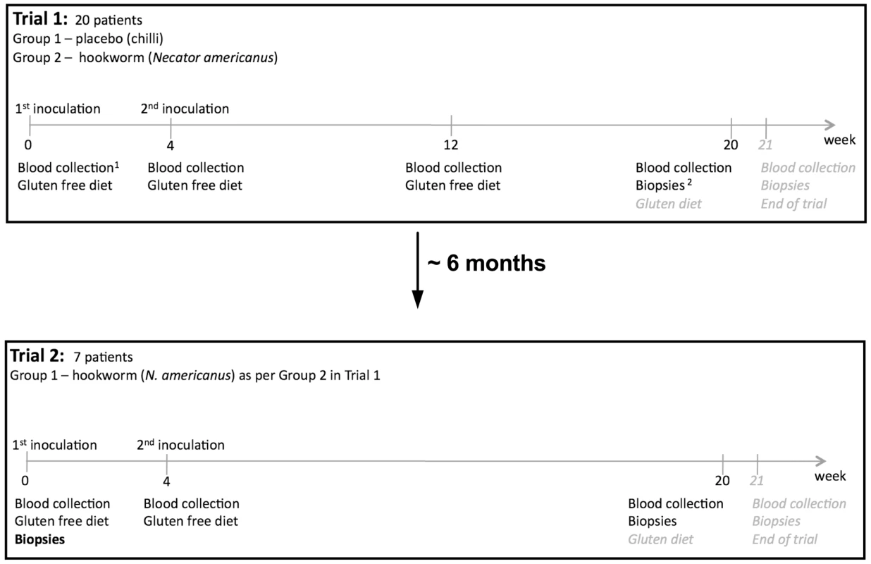 Trial design.