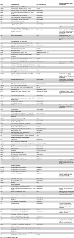 Genes that control the localization or expression of LET-23::GFP.