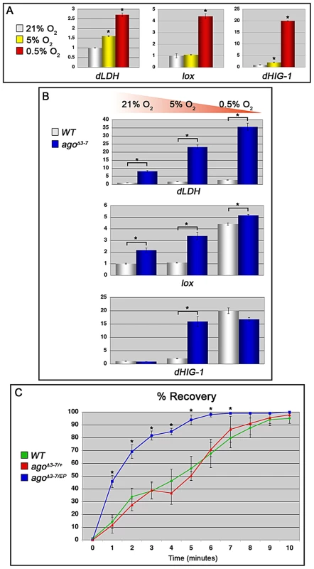 <i>ago</i> loss alters the transcriptional and organismal response to hypoxia.