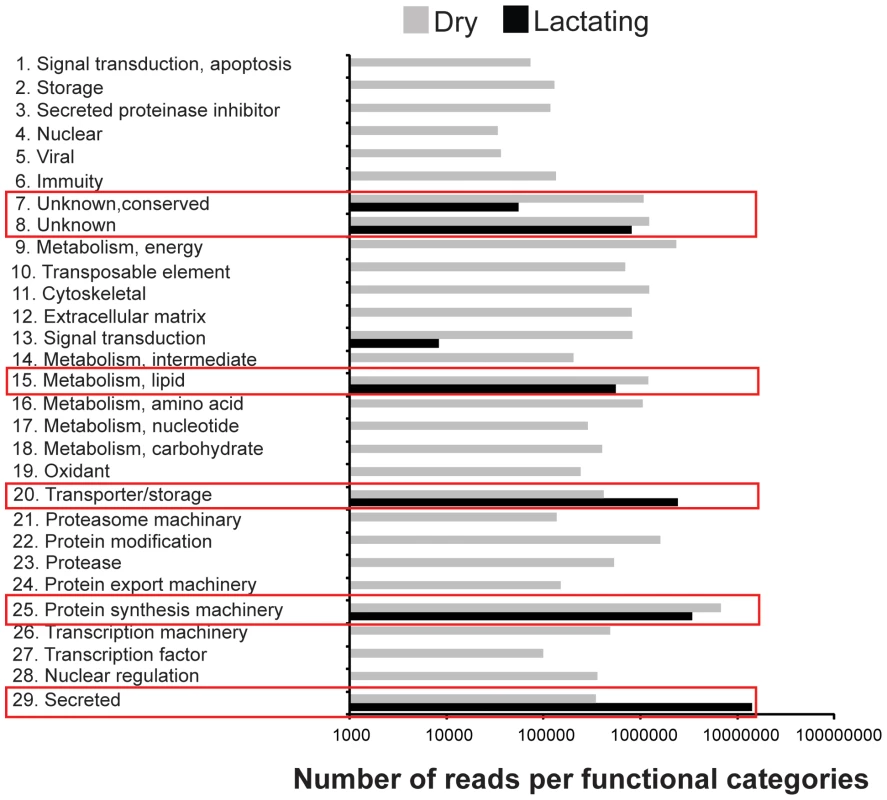 Gene ontology enrichment analysis.