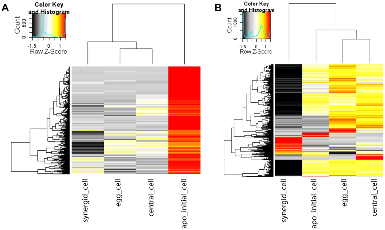 Heatmap of log2 transformed normalized read counts.