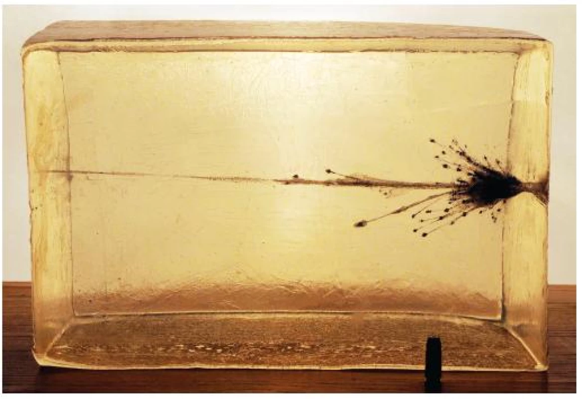 Účinek střely ultrafrangible na zkušební blok vyrobený z náhradního materiálu – balistického gelu (délka bloku 40 cm, pohyb střely a jejích částí zprava doleva).