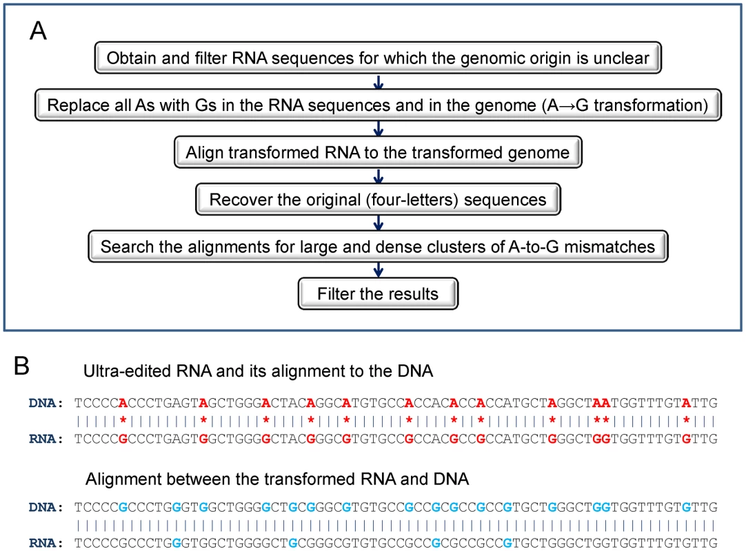 The computational procedure used to detect ultra-edited RNA.