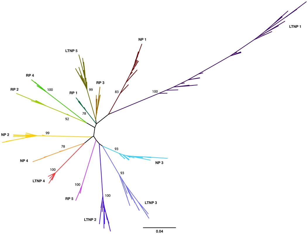 <i>In vivo</i> variation of HIV-1 clade B <i>vpu.</i>