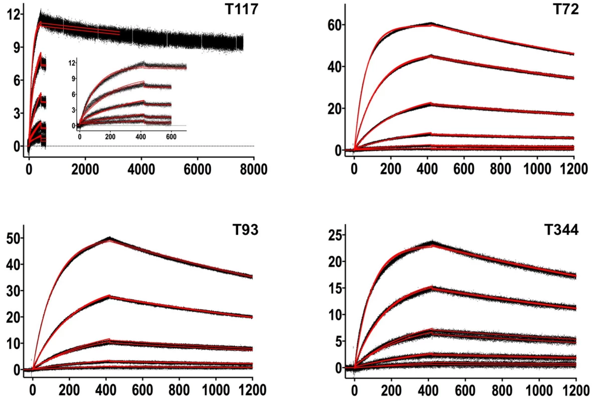 SPR sensorgrams of the interactions between 4E10 and the indicated ESs are shown.