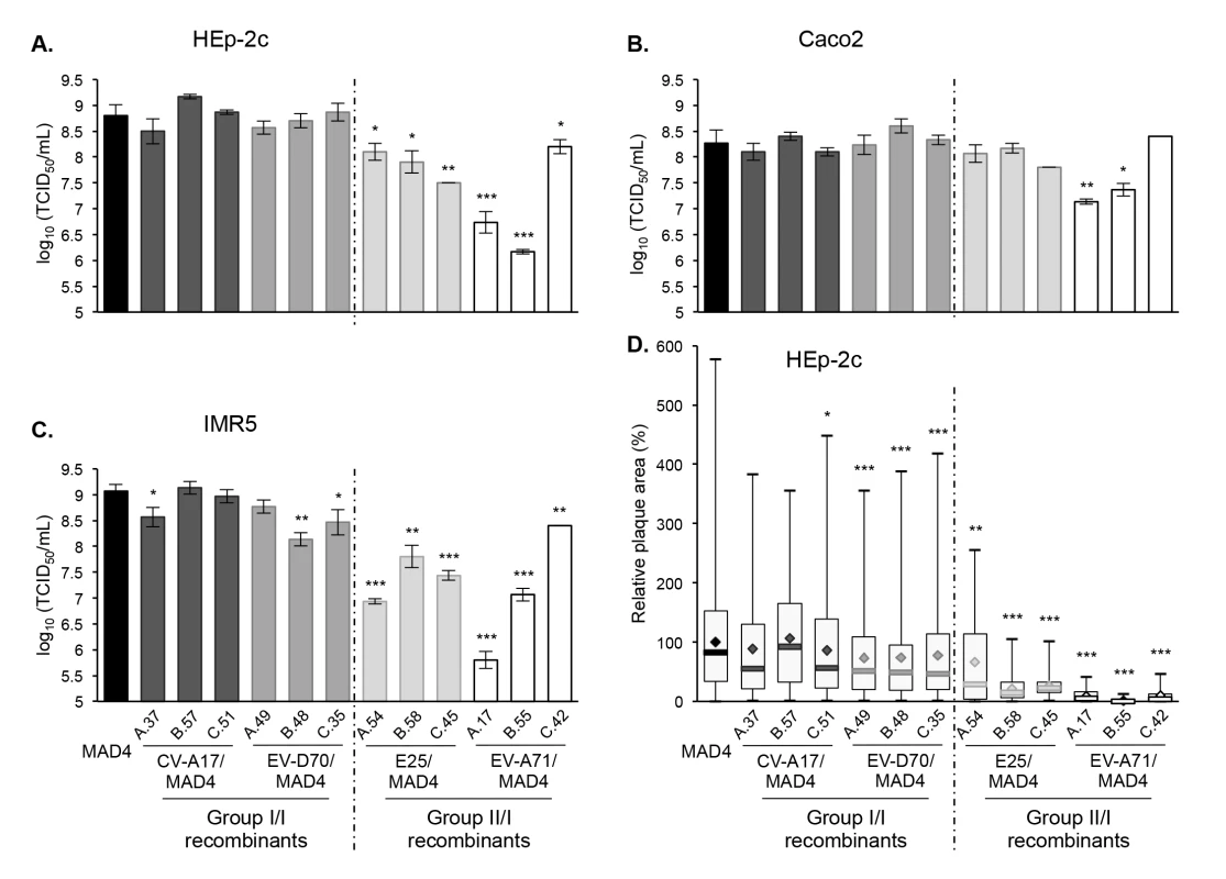 Growth and plaque size of selected recombinant viruses.