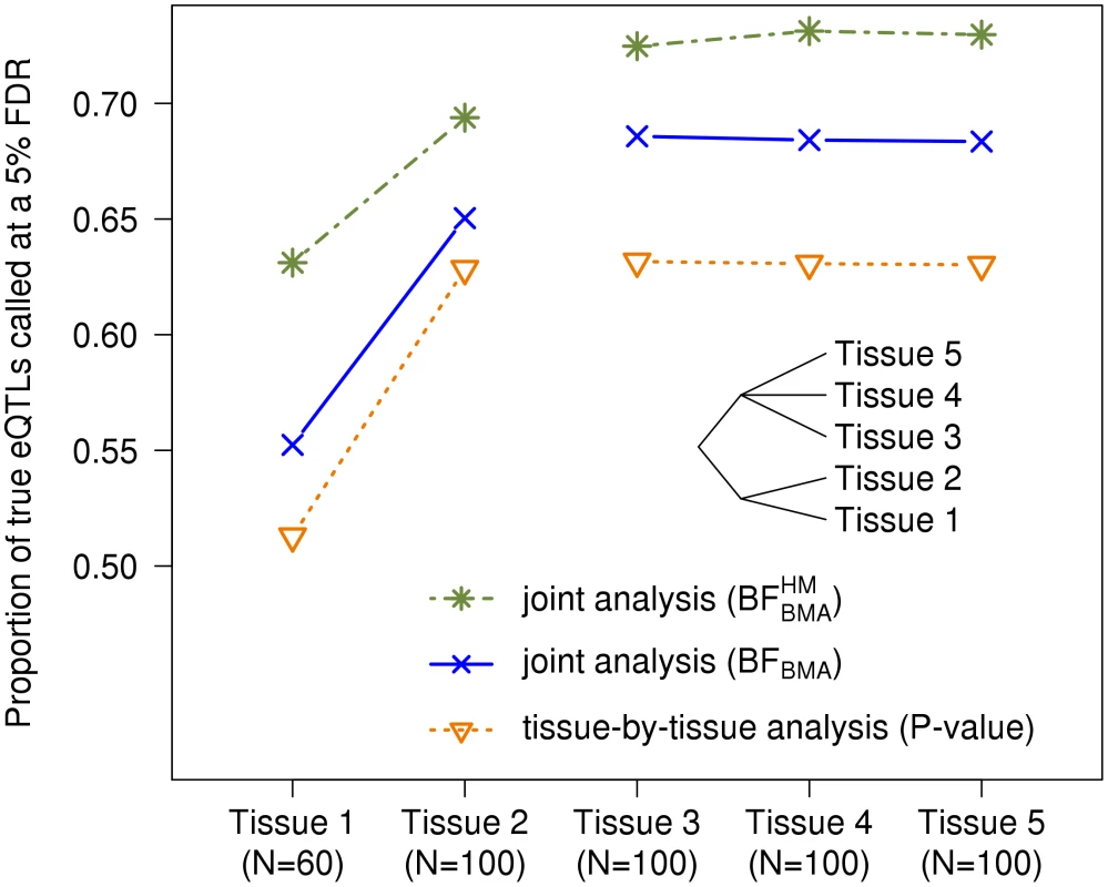 The  joint analysis efficiently borrows information across genes.