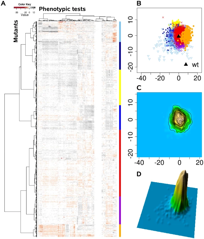 The <i>P. aeruginosa</i> phenome landscape organized by phenotypic similarity determined by 119 phenotypes of 4030 mutants.