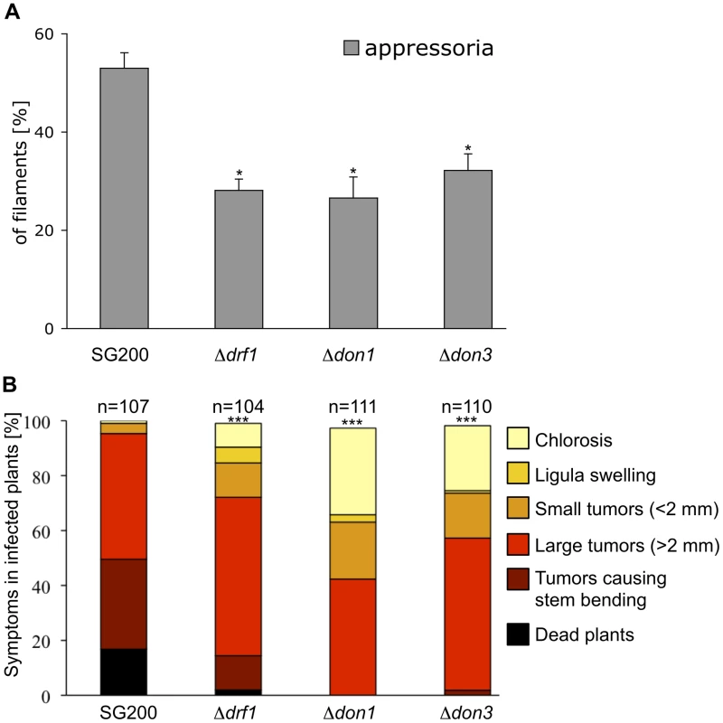 Appressoria formation and virulence are reduced in the <i>drf1, don1</i> and <i>don3</i> deletion strains.