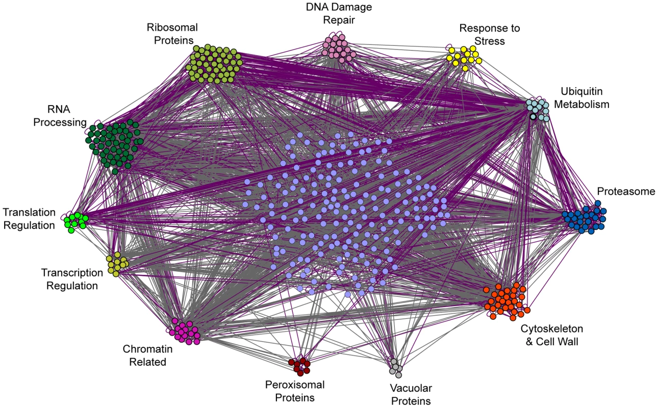Interaction network of genes necessary for acquired H<sub>2</sub>O<sub>2</sub> resistance following DTT pretreatment.