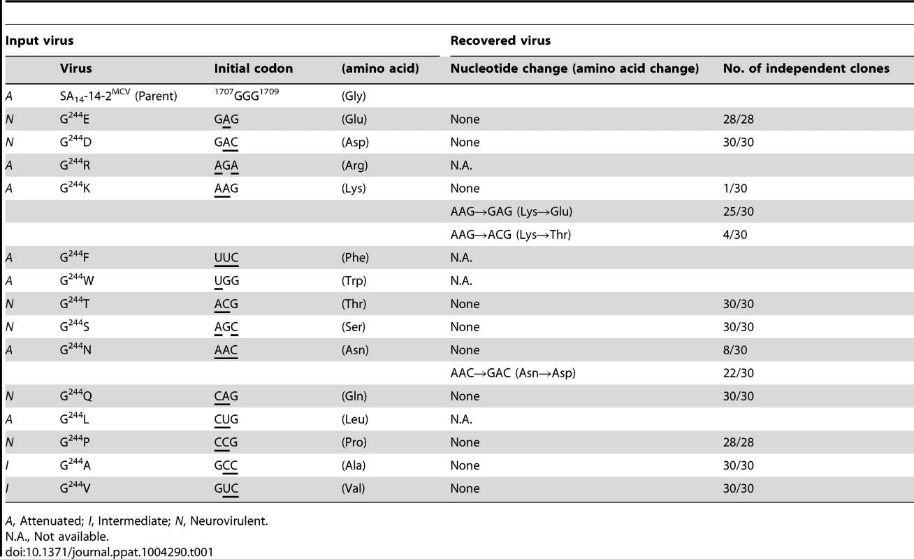 Genetic stability of 14 E-244 mutants recovered from mouse brains after IC inoculation.