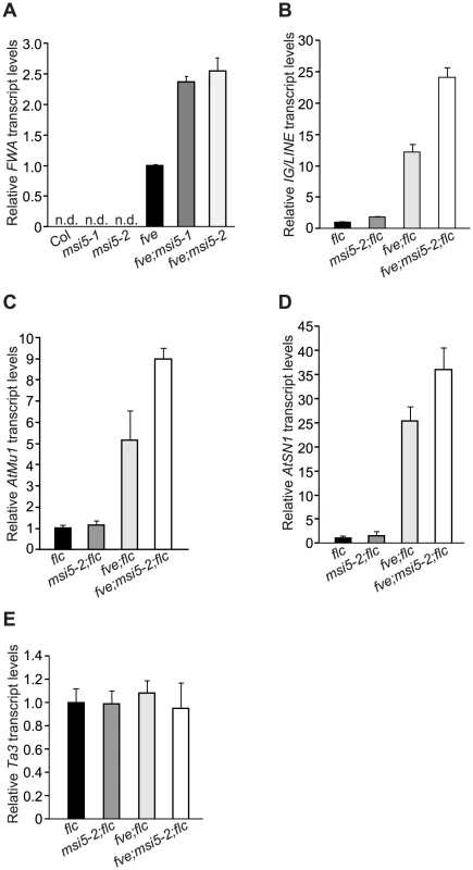 <i>MSI5</i> Acts Redundantly with <i>FVE</i> to Silence Endogenous RdDM Target Loci.