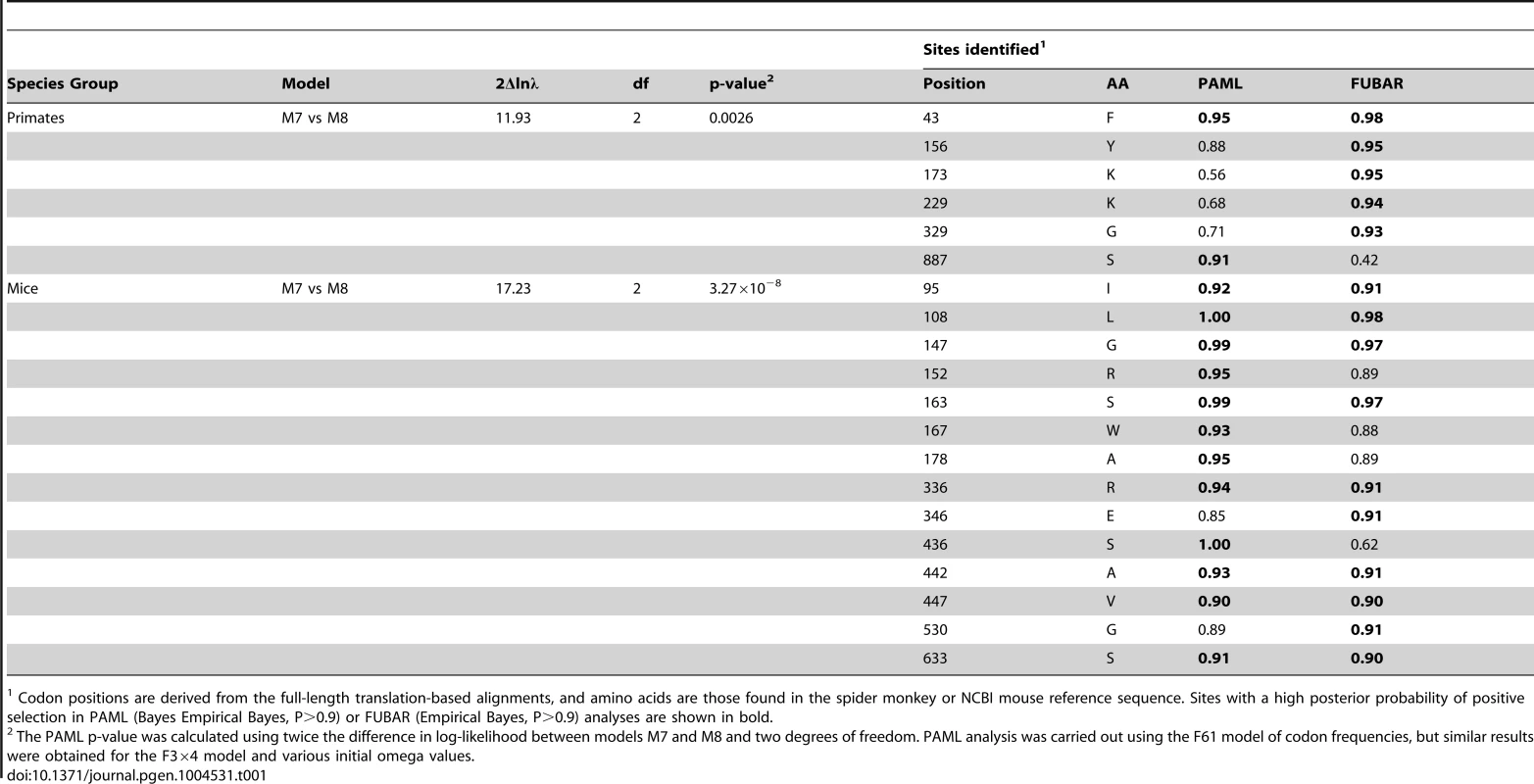Primate and mouse <i>L1TD1</i> are evolving under positive selection.